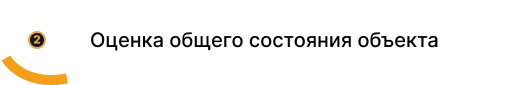 Оценка общего состояния объекта